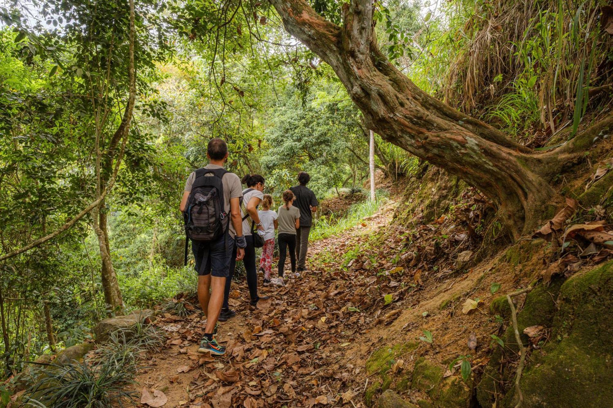 Hotel Simpson's Forest - Luxury Boutique & - Kandy