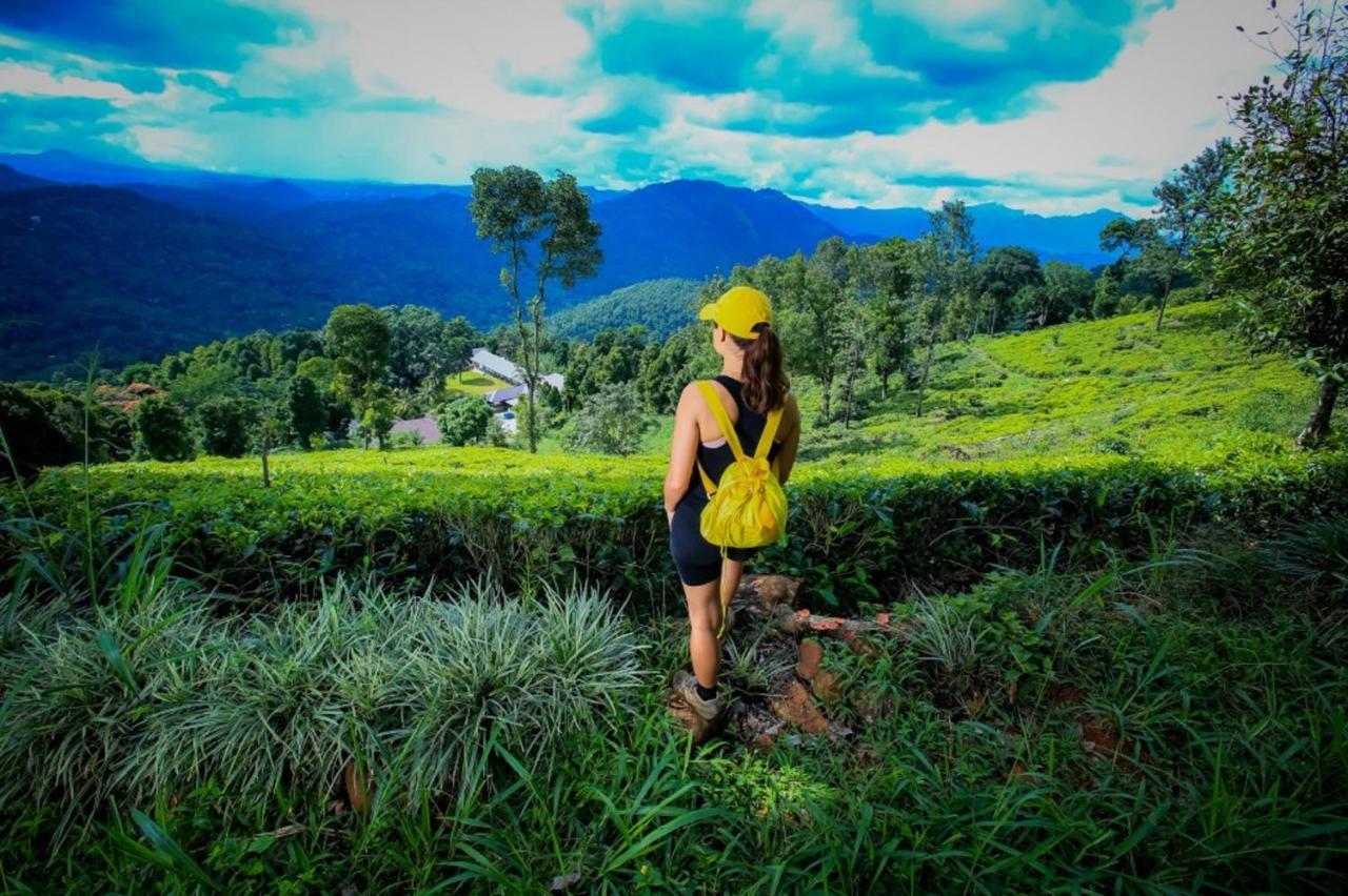 Simpson's Forest - Luxury Boutique & - Hotel Kandy
